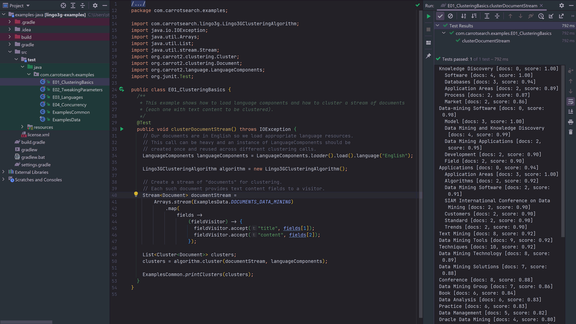 Lingo3G Java API code in IntelliJ IDE.