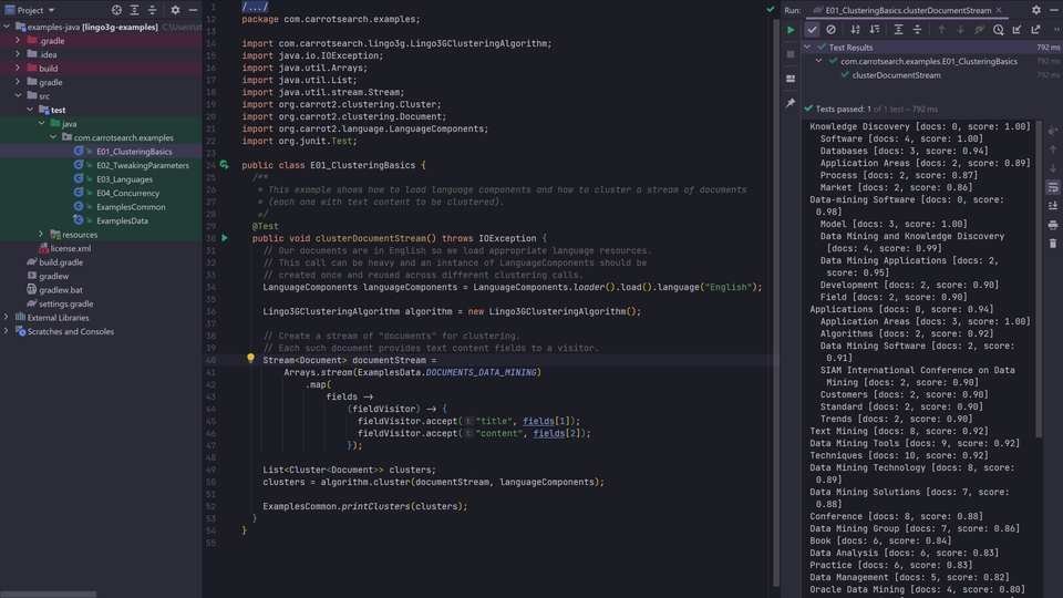 Lingo3G Java API code in IntelliJ IDE.